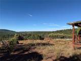 Lot 11 Monte Del Sol - Photo 2