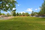 2388 Camino Capitan - Photo 13