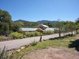 436 Apodaca Hill - Photo 11