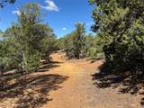 2377 Camino Del Oso - Photo 12
