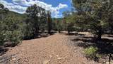 2395 Camino Del Oso - Photo 10