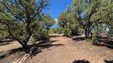 2395 Camino Del Oso - Photo 11