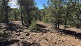 2395 Camino Del Oso - Photo 12