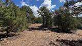 2395 Camino Del Oso - Photo 13