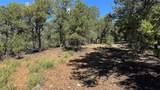 2395 Camino Del Oso - Photo 14