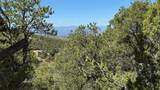 2395 Camino Del Oso - Photo 15
