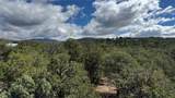2395 Camino Del Oso - Photo 16