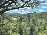 2395 Camino Del Oso - Photo 17