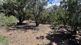 2395 Camino Del Oso - Photo 19