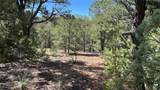 2395 Camino Del Oso - Photo 22