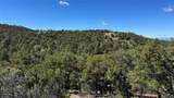 2395 Camino Del Oso - Photo 3