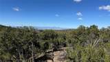 2395 Camino Del Oso - Photo 4