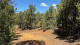2395 Camino Del Oso - Photo 5