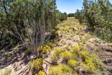 5 Campo Del Viento - Photo 5