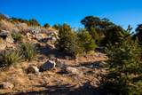 109 Coyote Mountain - Photo 10