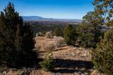 109 Coyote Mountain - Photo 11