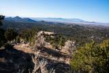 109 Coyote Mountain - Photo 13