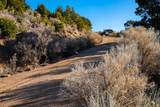 109 Coyote Mountain - Photo 15