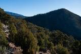 109 Coyote Mountain - Photo 22