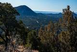 109 Coyote Mountain - Photo 24