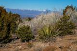 109 Coyote Mountain - Photo 27