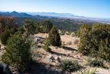 109 Coyote Mountain - Photo 5