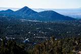 109 Coyote Mountain - Photo 6