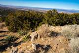109 Coyote Mountain - Photo 8