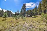 27.5 Acres Jemez Mountains Forest Rd 10 - Photo 1