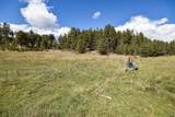 27.5 Acres Jemez Mountains Forest Rd 10 - Photo 10