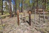 27.5 Acres Jemez Mountains Forest Rd 10 - Photo 11