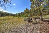 27.5 Acres Jemez Mountains Forest Rd 10 - Photo 12