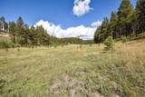 27.5 Acres Jemez Mountains Forest Rd 10 - Photo 13