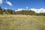 27.5 Acres Jemez Mountains Forest Rd 10 - Photo 14