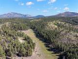 27.5 Acres Jemez Mountains Forest Rd 10 - Photo 15