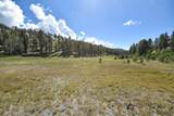 27.5 Acres Jemez Mountains Forest Rd 10 - Photo 17