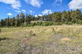 27.5 Acres Jemez Mountains Forest Rd 10 - Photo 18