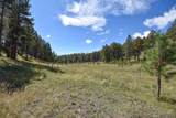 27.5 Acres Jemez Mountains Forest Rd 10 - Photo 19