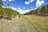 27.5 Acres Jemez Mountains Forest Rd 10 - Photo 2