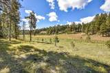 27.5 Acres Jemez Mountains Forest Rd 10 - Photo 21