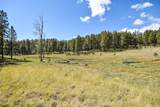 27.5 Acres Jemez Mountains Forest Rd 10 - Photo 22