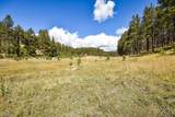 27.5 Acres Jemez Mountains Forest Rd 10 - Photo 23