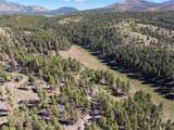 27.5 Acres Jemez Mountains Forest Rd 10 - Photo 24