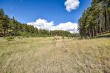 27.5 Acres Jemez Mountains Forest Rd 10 - Photo 25