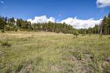 27.5 Acres Jemez Mountains Forest Rd 10 - Photo 27
