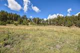 27.5 Acres Jemez Mountains Forest Rd 10 - Photo 28
