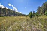 27.5 Acres Jemez Mountains Forest Rd 10 - Photo 29