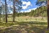 27.5 Acres Jemez Mountains Forest Rd 10 - Photo 3