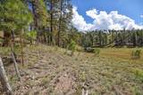 27.5 Acres Jemez Mountains Forest Rd 10 - Photo 30