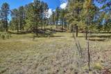 27.5 Acres Jemez Mountains Forest Rd 10 - Photo 32